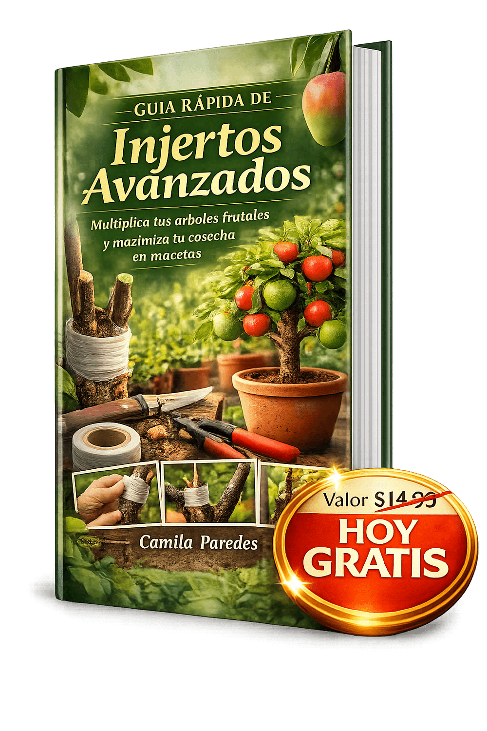 Guía rápida de Injertos Avanzados en Macetas
